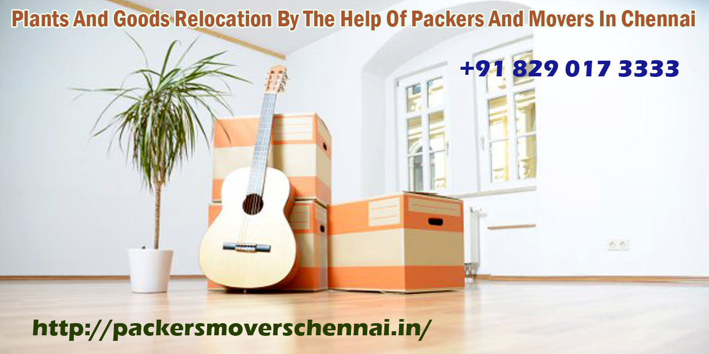 Top And Safe Packers And Movers Chennai
